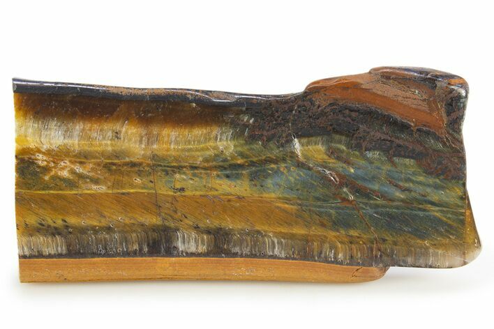 Polished Blue & Orange Tiger's Eye Slab - South Africa #320060